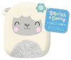 Squish and Snugg Sweet Lamb Board book